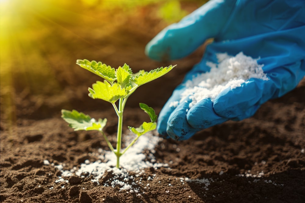 Chemical Fertilizers use