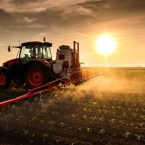 Chemical Fertilizers use